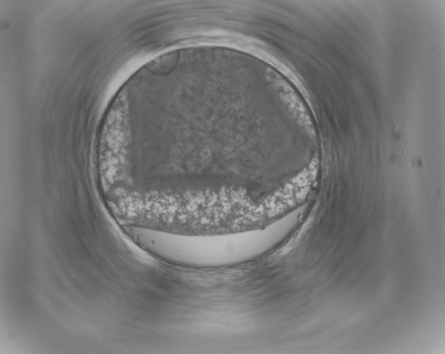 X0000077321533200611171730