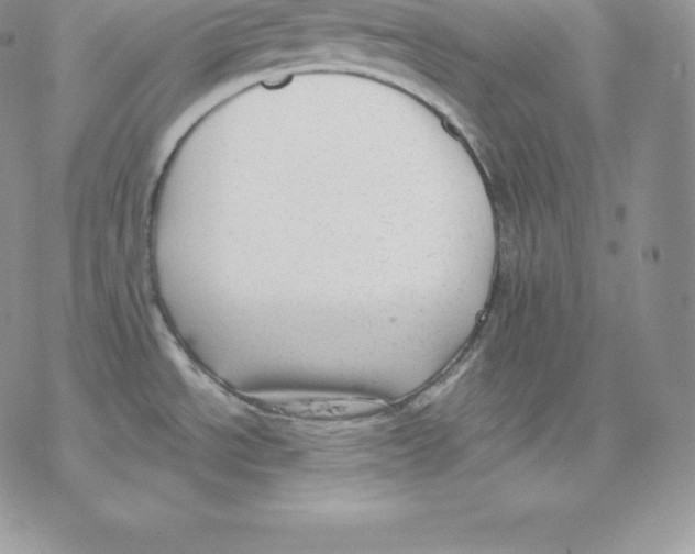 X0000077321534200611171730