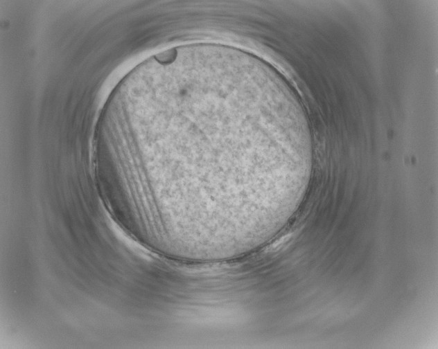 X0000077321535200611171730