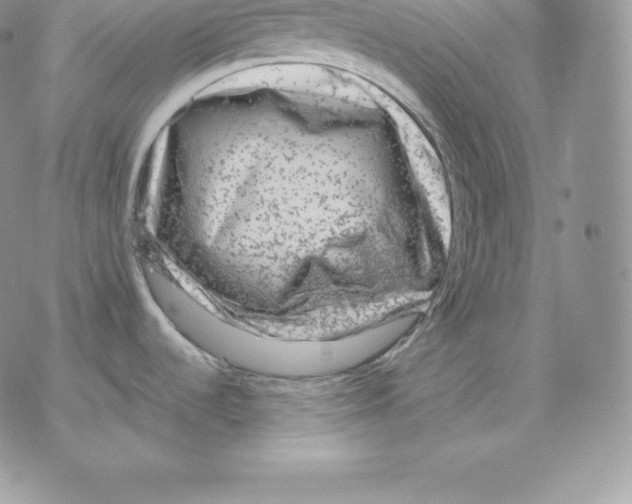 X0000077321536200611171730