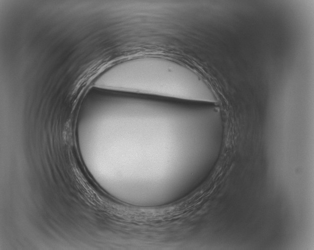 X0000077330002200610200927