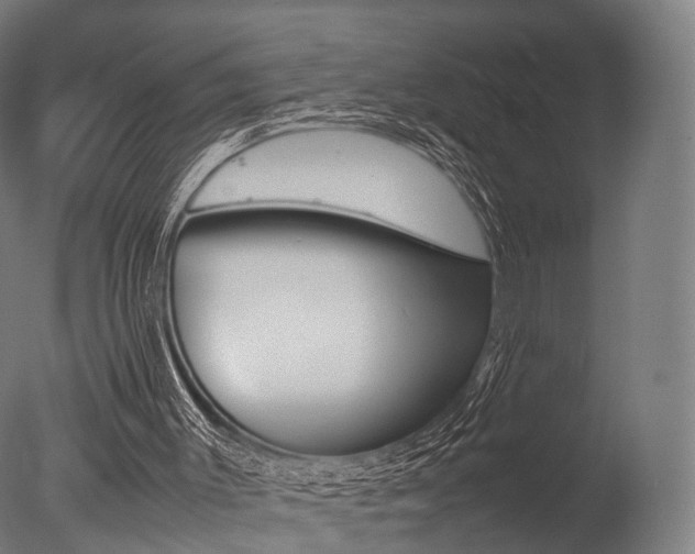 X0000077330003200610200927