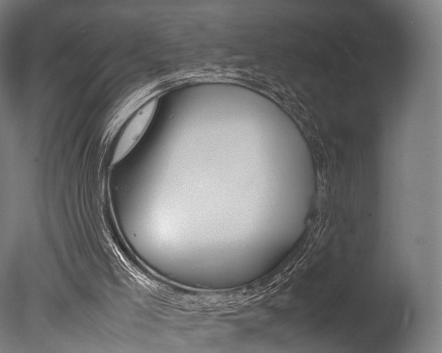 X0000077330005200610200927