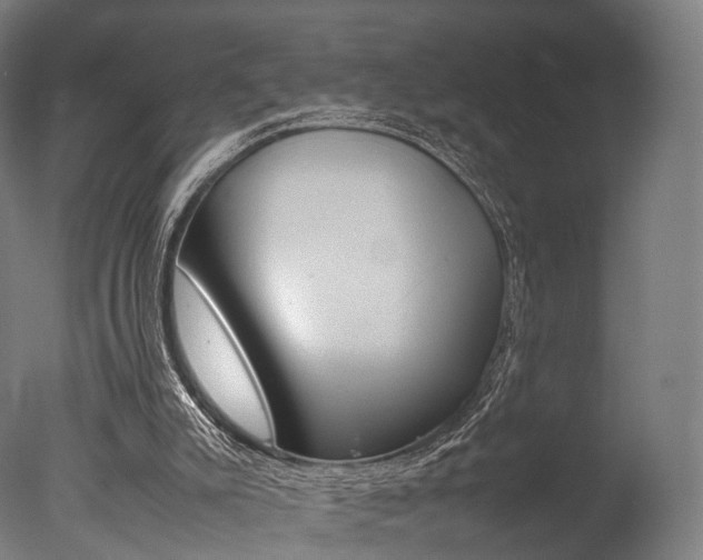 X0000077330007200610200927
