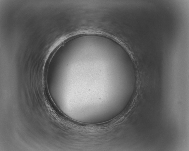 X0000077330008200610200927