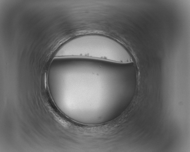 X0000077330013200610200927