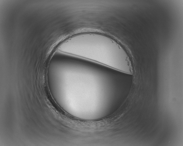 X0000077330015200610200926