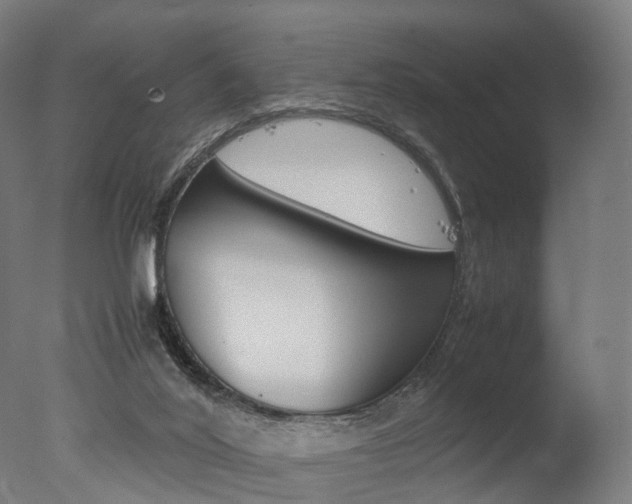 X0000077330020200610200926