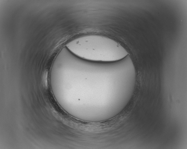 X0000077330024200610200926