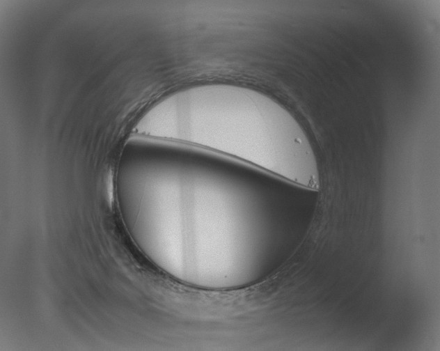 X0000077330027200610200926