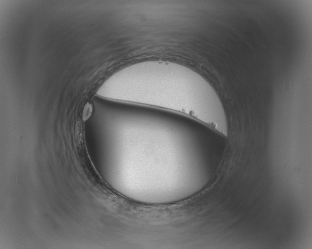 X0000077330029200610200926