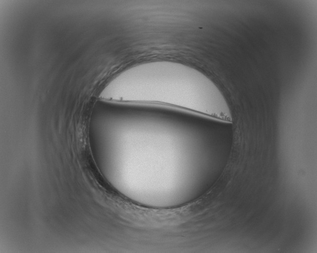 X0000077330031200610200926