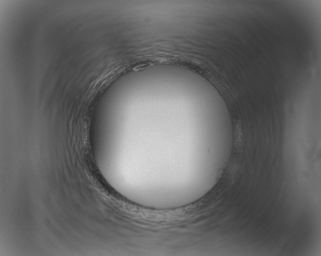 X0000077330043200610200926