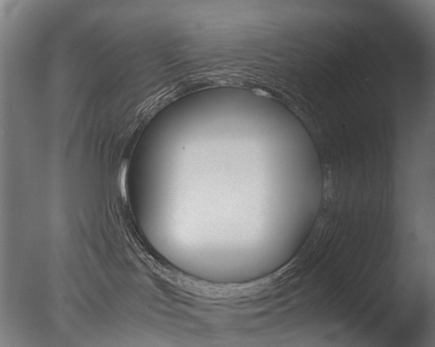 X0000077330047200610200926