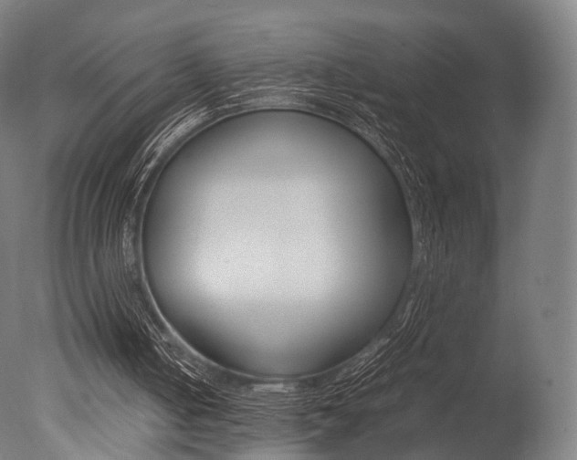 X0000077330050200610200925