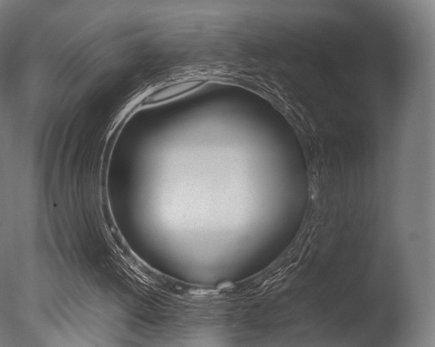 X0000077330052200610200925