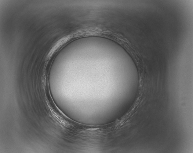 X0000077330054200610200925