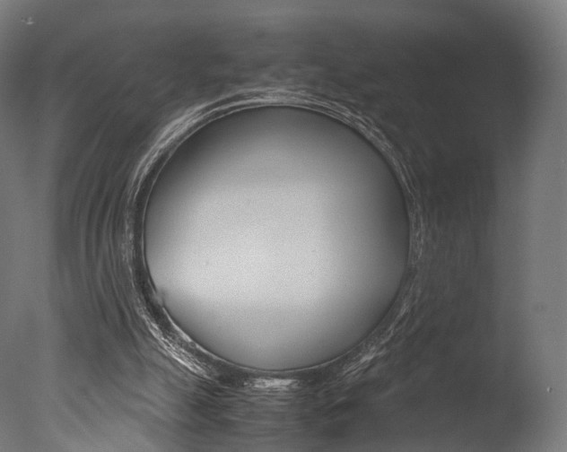 X0000077330055200610200925
