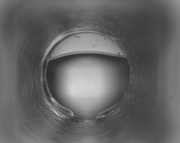 X0000077330056200610200925