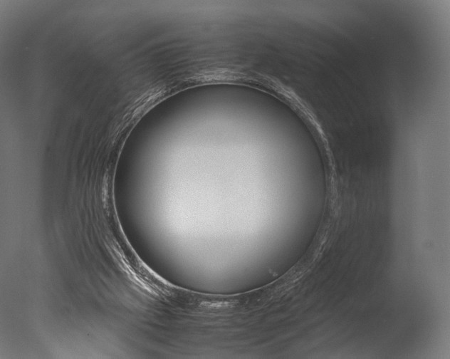 X0000077330057200610200925