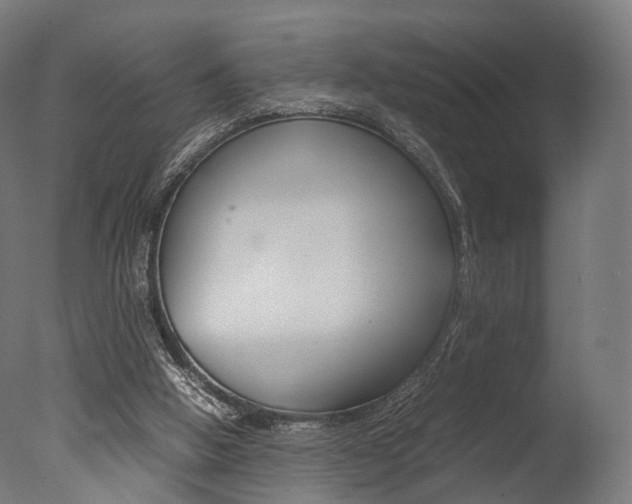 X0000077330058200610200925