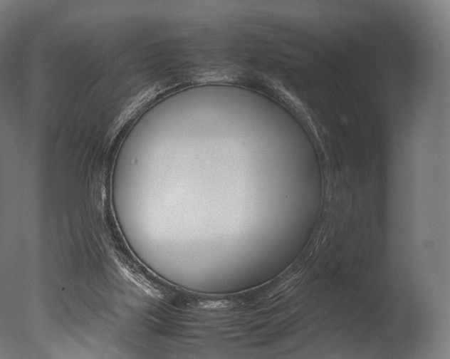 X0000077330059200610200925