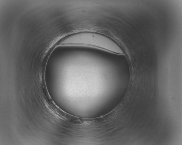 X0000077330060200610200925