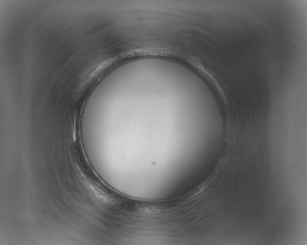 X0000077330062200610200925
