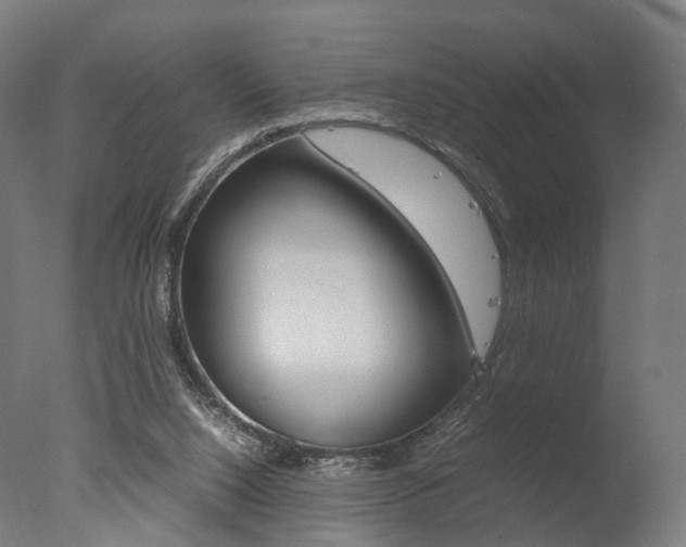 X0000077330064200610200925