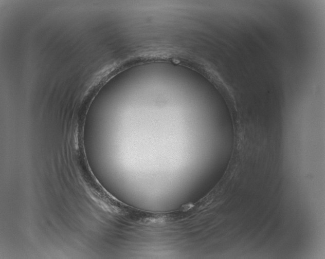X0000077330068200610200925