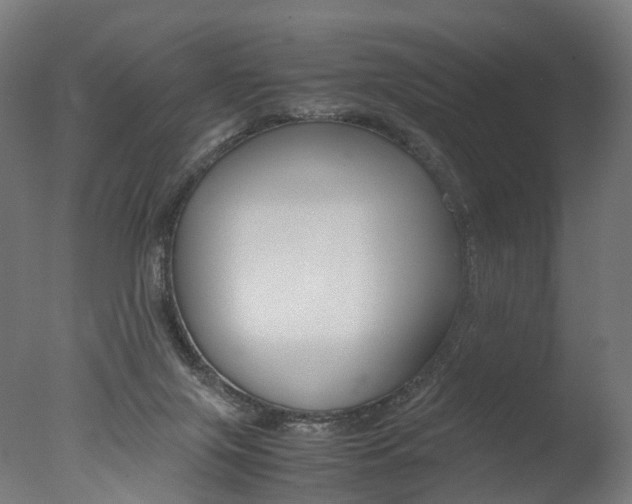 X0000077330071200610200925