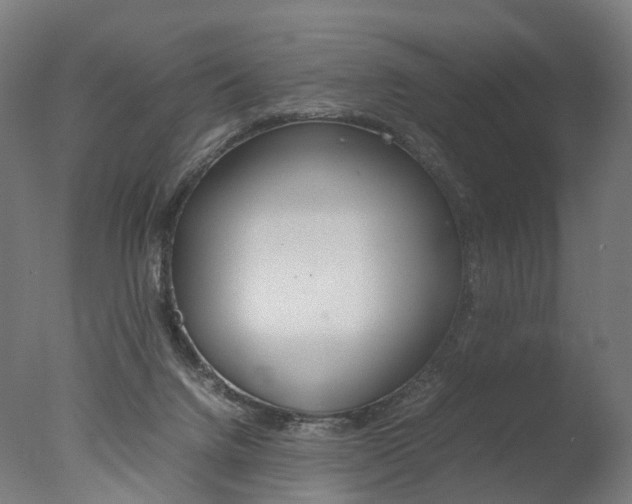 X0000077330072200610200926