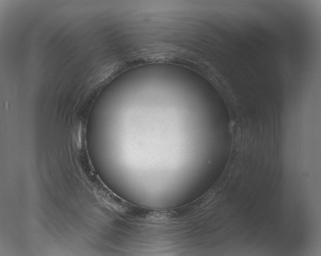 X0000077330076200610200926