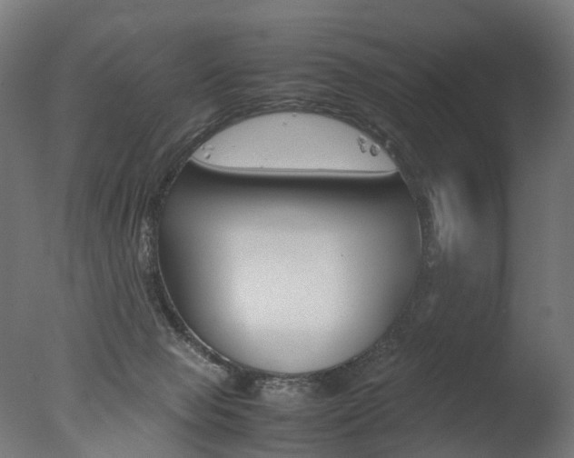 X0000077330077200610200926