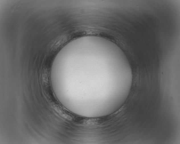 X0000077330078200610200926