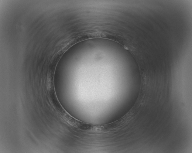 X0000077330080200610200926