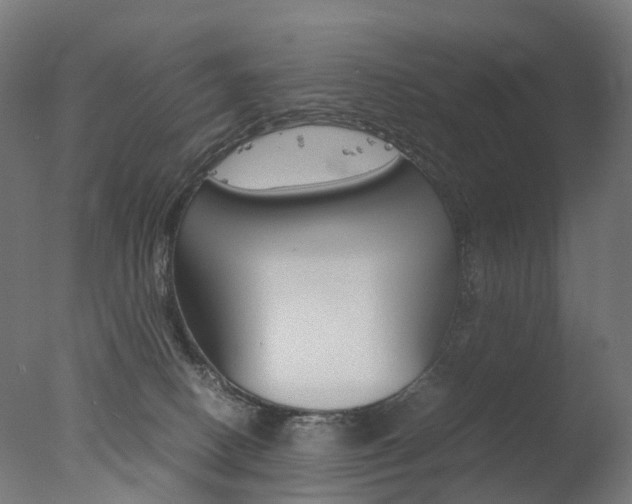 X0000077330082200610200926