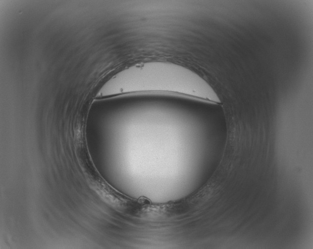 X0000077330084200610200926