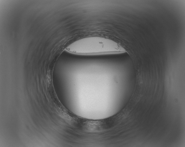 X0000077330085200610200926