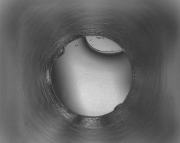X0000077330089200610200926