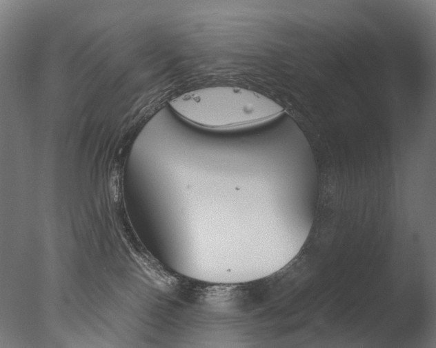 X0000077330090200610200926