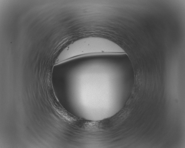 X0000077330092200610200926