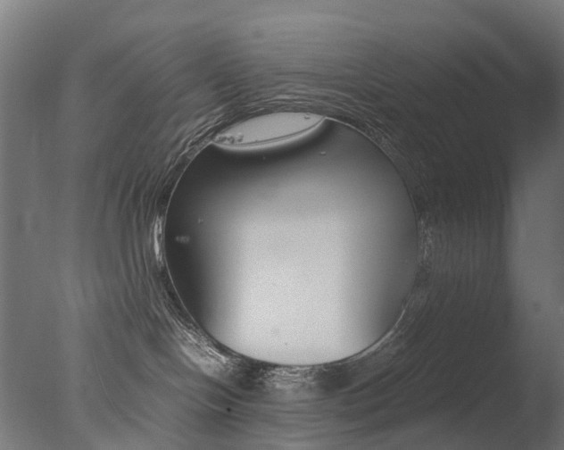 X0000077330094200610200926