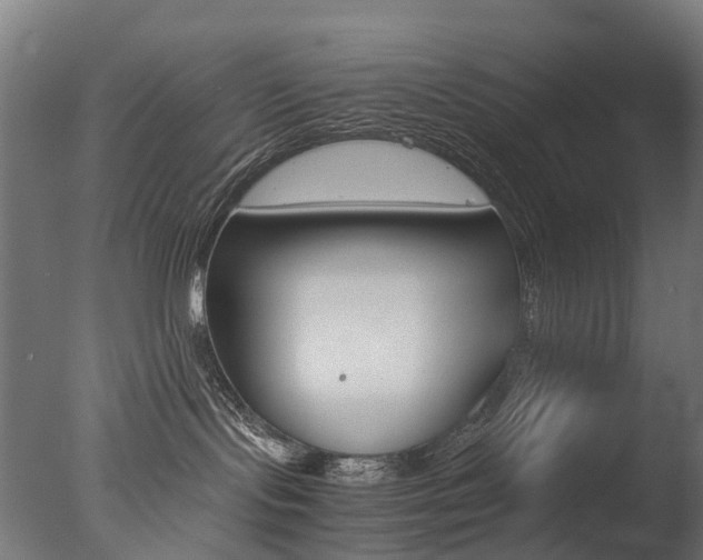 X0000077330095200610200926