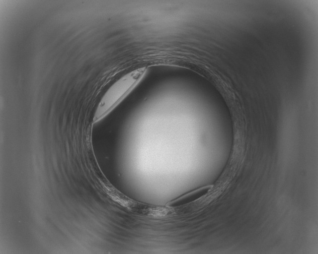 X0000077330096200610200926