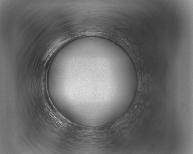 X0000077330098200610200925