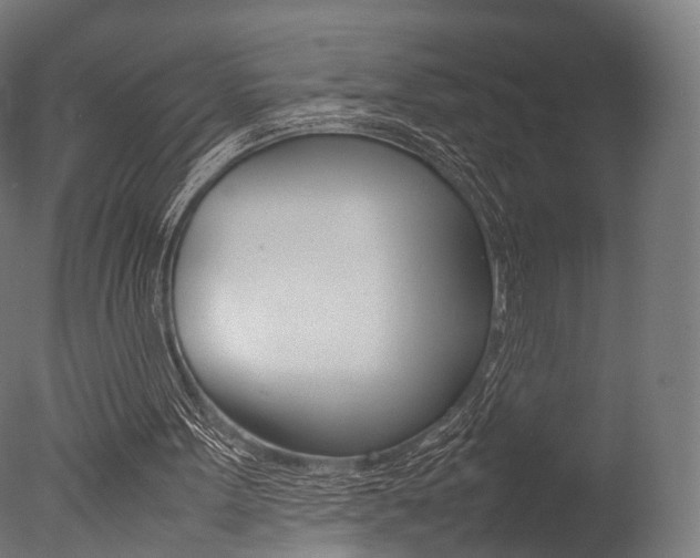 X0000077330099200610200925