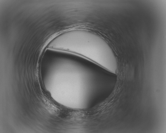 X0000077330100200610200925