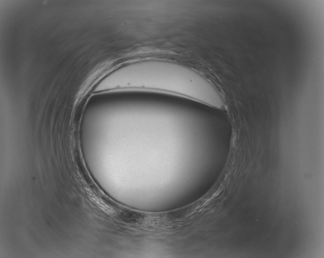 X0000077330101200610200925