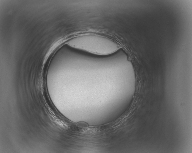X0000077330102200610200925